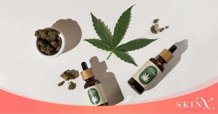 ประโยชน์ของกัญชาคืออะไร มีอะไรบ้างที่เราควรรู้ก่อนใช้?