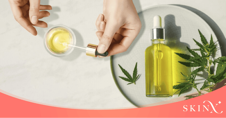 ทำความรู้จัก CBD Oil คืออะไร? มีประโยชน์ยังไง? เป็นอันตรายกับร่างกายไหม?